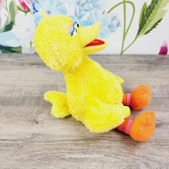 Sea World Sesame Place Big Bird Plush 12" Stuffed Animal 2019 Seaworld - Picture 3 of 7